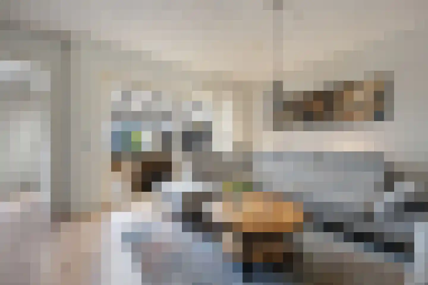 De Schoolmeesterstraat 26 Vlijmen thumbnail 7