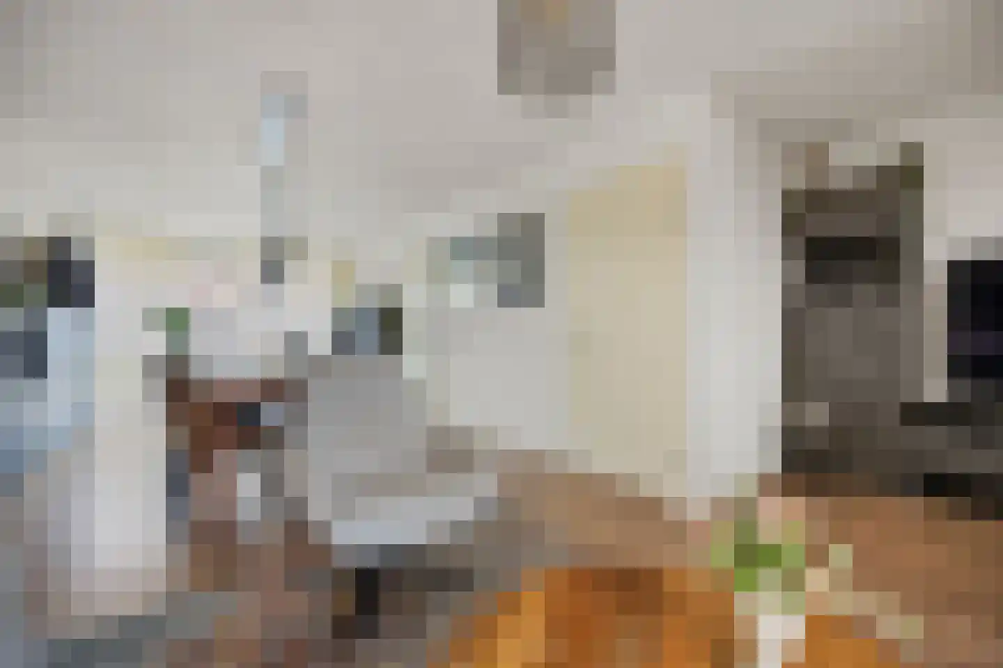 De Schoolmeesterstraat 26 Vlijmen thumbnail 8