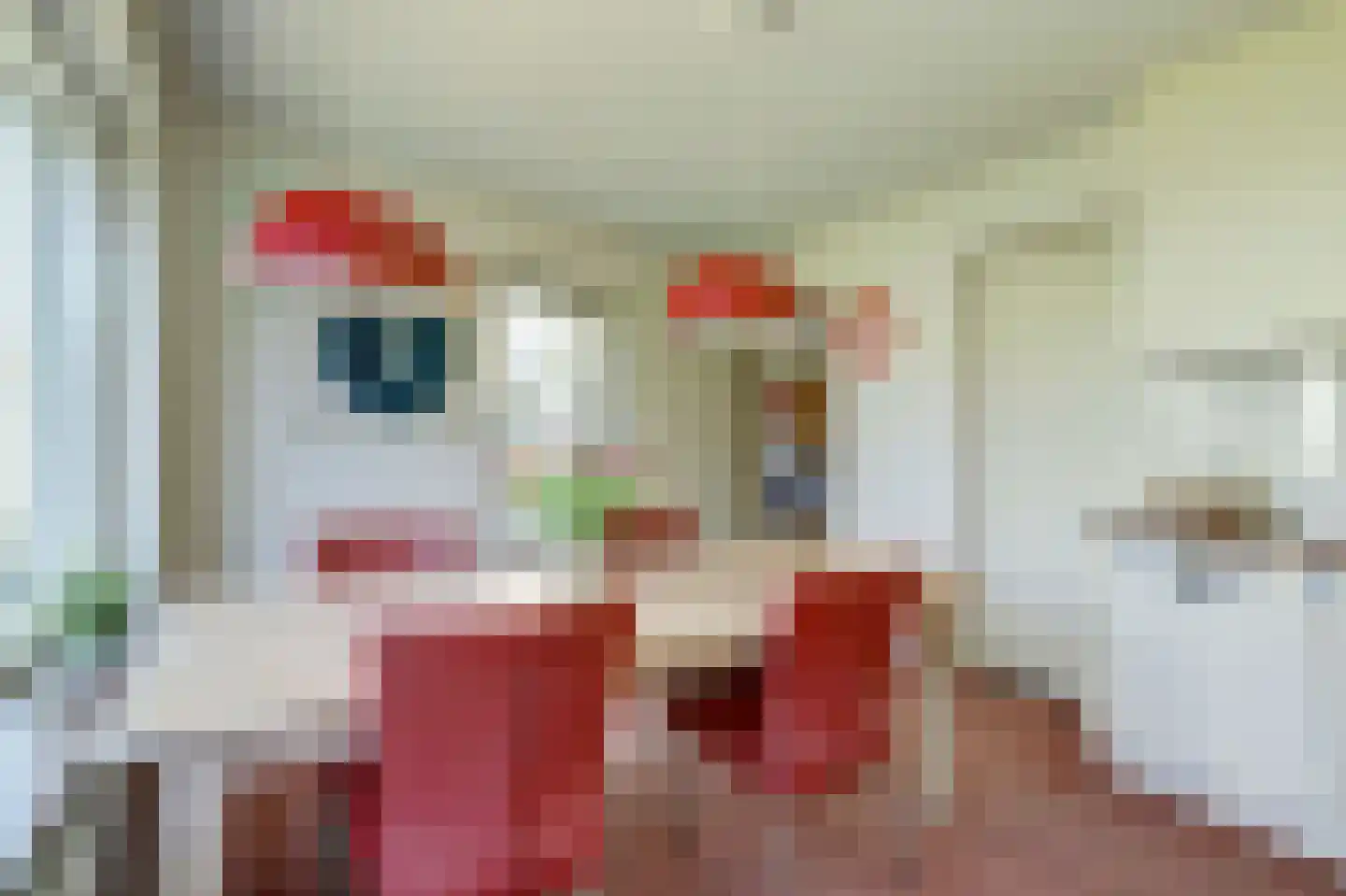 De Schoolmeesterstraat 30 Vlijmen thumbnail 12