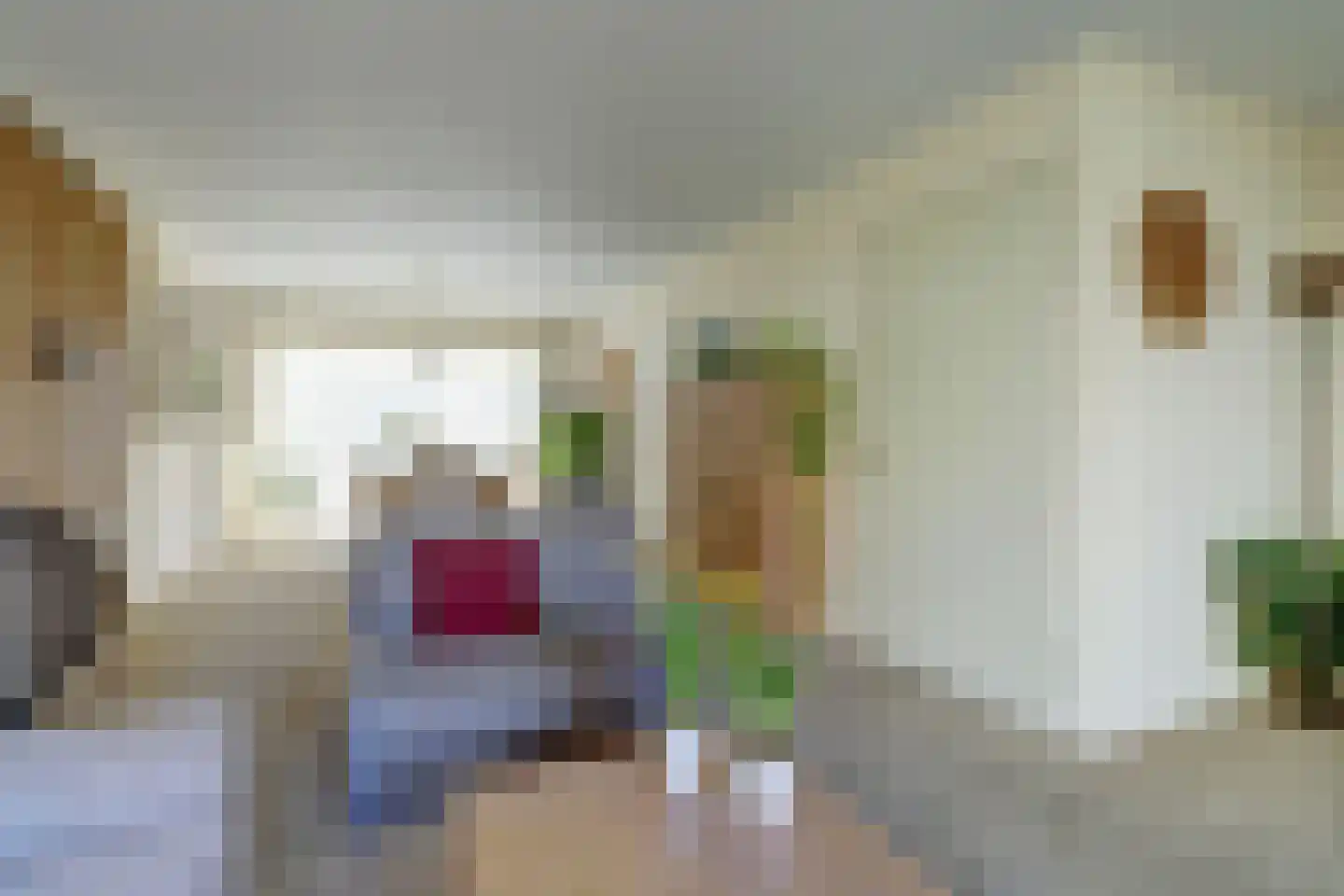 De Schoolmeesterstraat 30 Vlijmen thumbnail 8