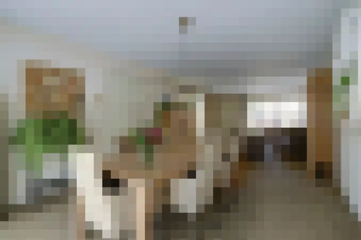 De Schoolmeesterstraat 30 Vlijmen thumbnail 9