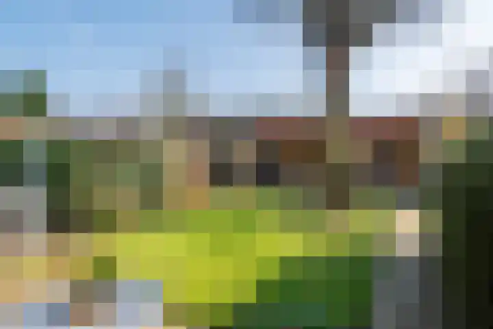 De Schoorsteen 23 B Kerk-Avezaath thumbnail 11