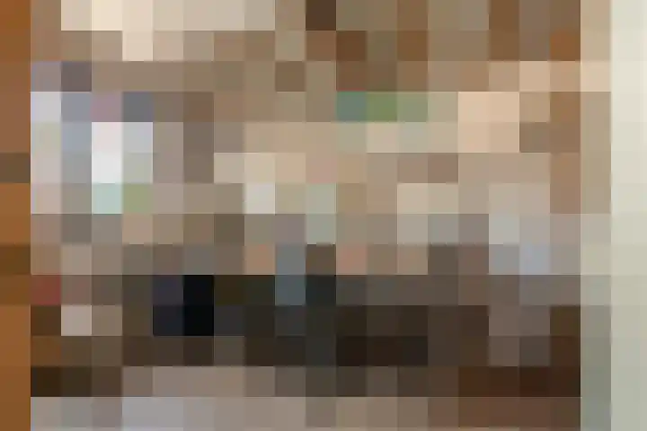 De Schoorsteen 23 B Kerk-Avezaath thumbnail 17
