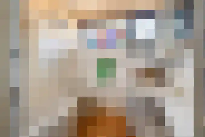 De Schoorsteen 23 B Kerk-Avezaath thumbnail 28