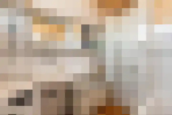 De Schoorsteen 23 B Kerk-Avezaath thumbnail 29