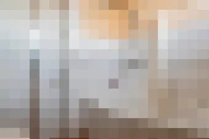 De Schoorsteen 23 B Kerk-Avezaath thumbnail 30