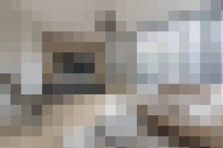 de Schop 15 Lieshout thumbnail 10