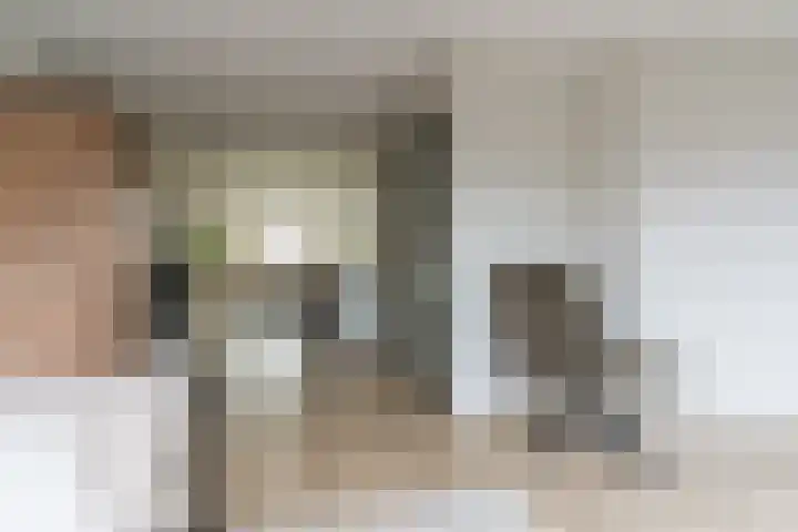 de Schop 15 Lieshout thumbnail 12