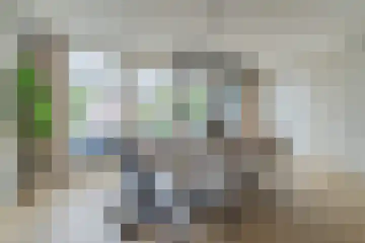 de Schop 15 Lieshout thumbnail 13