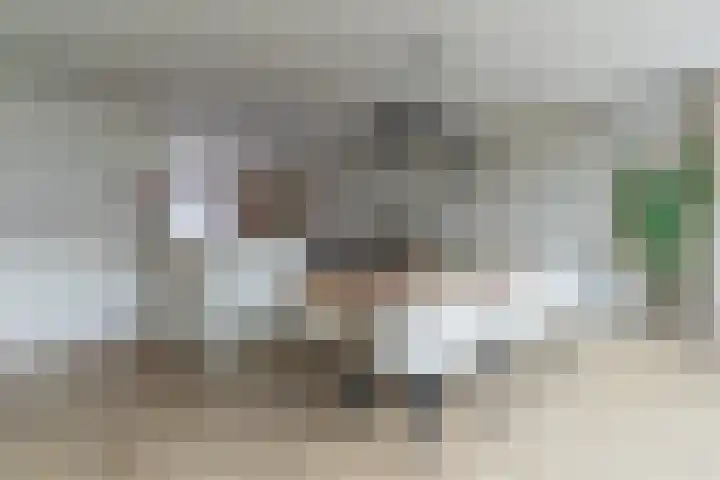 de Schop 15 Lieshout thumbnail 15