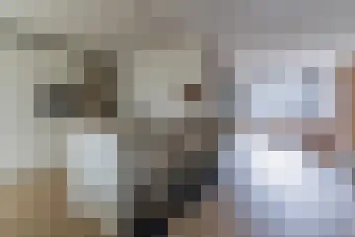 de Schop 15 Lieshout thumbnail 16