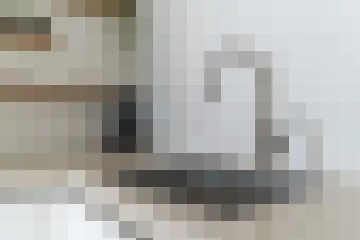 de Schop 15 Lieshout thumbnail 18