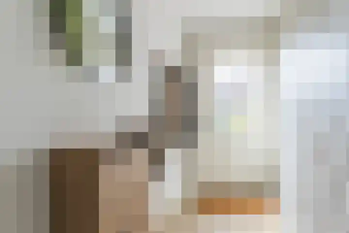 de Schop 15 Lieshout thumbnail 19