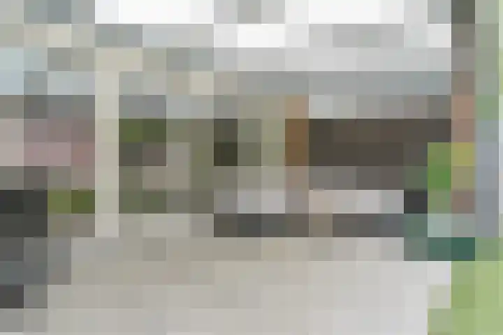 de Schop 15 Lieshout thumbnail 20
