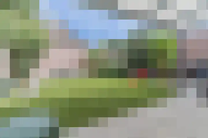 de Schop 15 Lieshout thumbnail 21