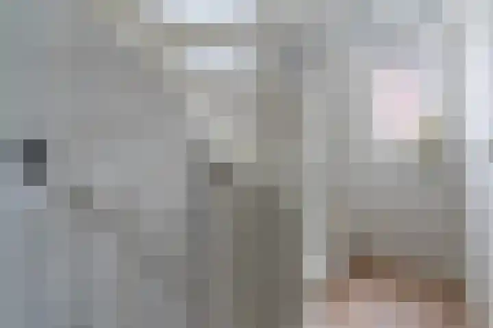 de Schop 15 Lieshout thumbnail 23