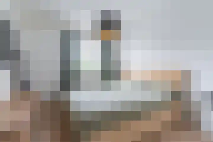 de Schop 15 Lieshout thumbnail 24