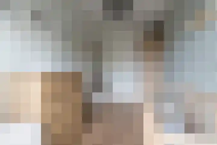 de Schop 15 Lieshout thumbnail 27