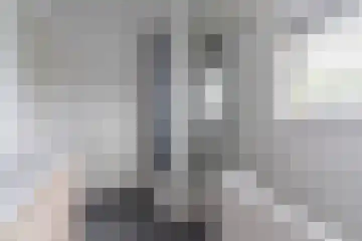 de Schop 15 Lieshout thumbnail 29