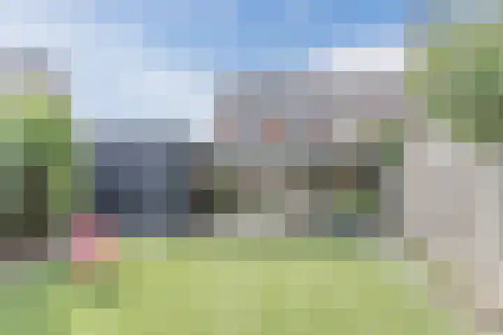 de Schop 15 Lieshout thumbnail 4