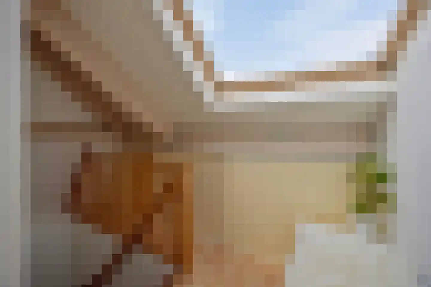 de Schop 21 Lieshout thumbnail 31