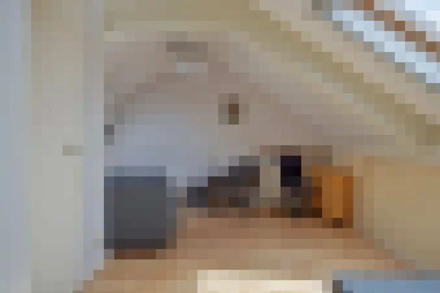 de Schop 21 Lieshout thumbnail 34