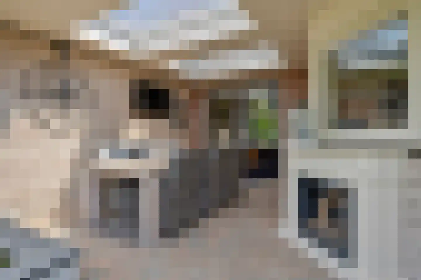 de Schop 21 Lieshout thumbnail 36