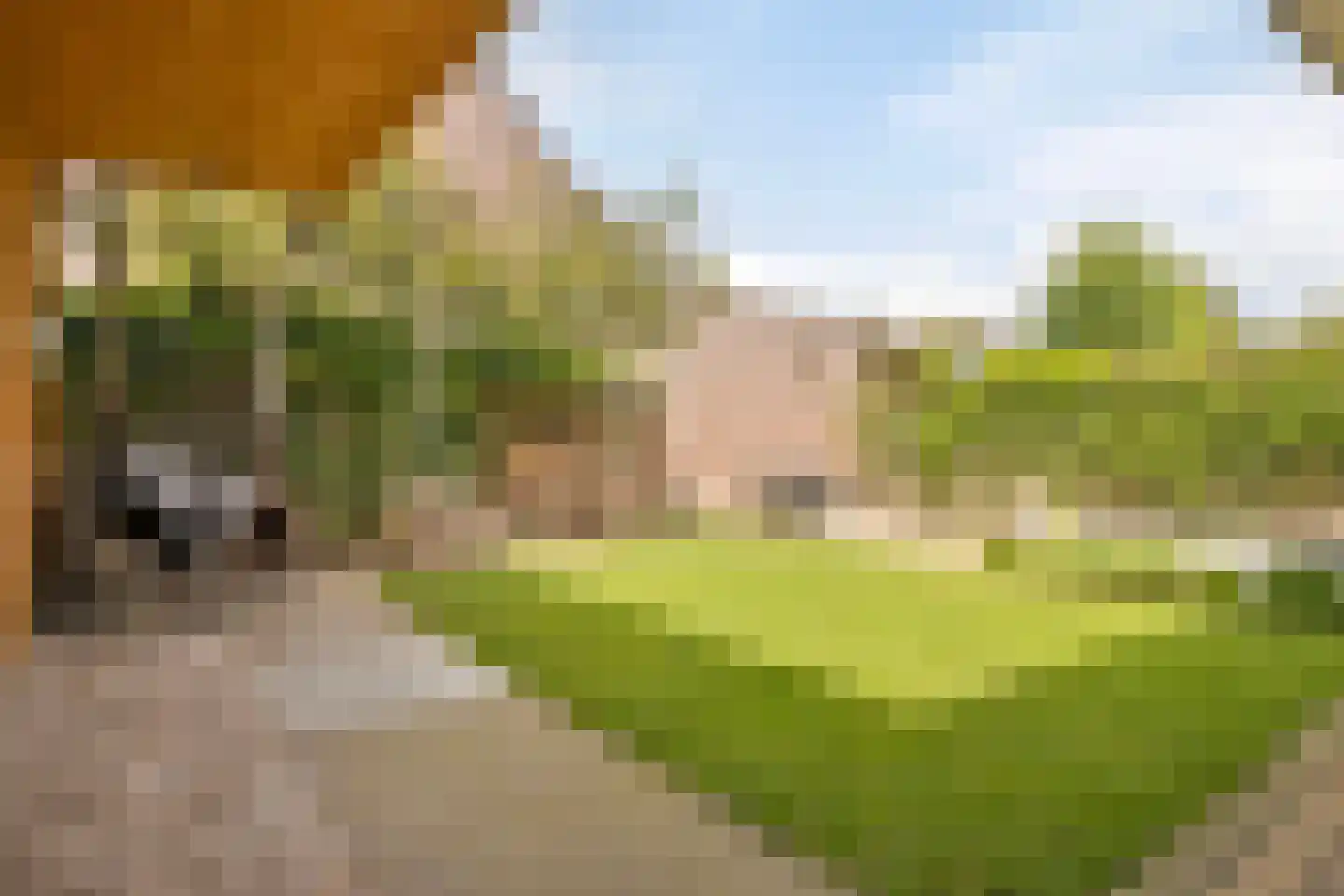 de Schop 21 Lieshout thumbnail 38