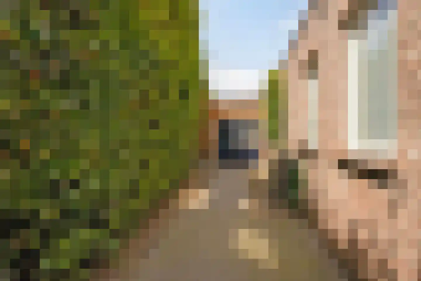 de Schop 21 Lieshout thumbnail 39