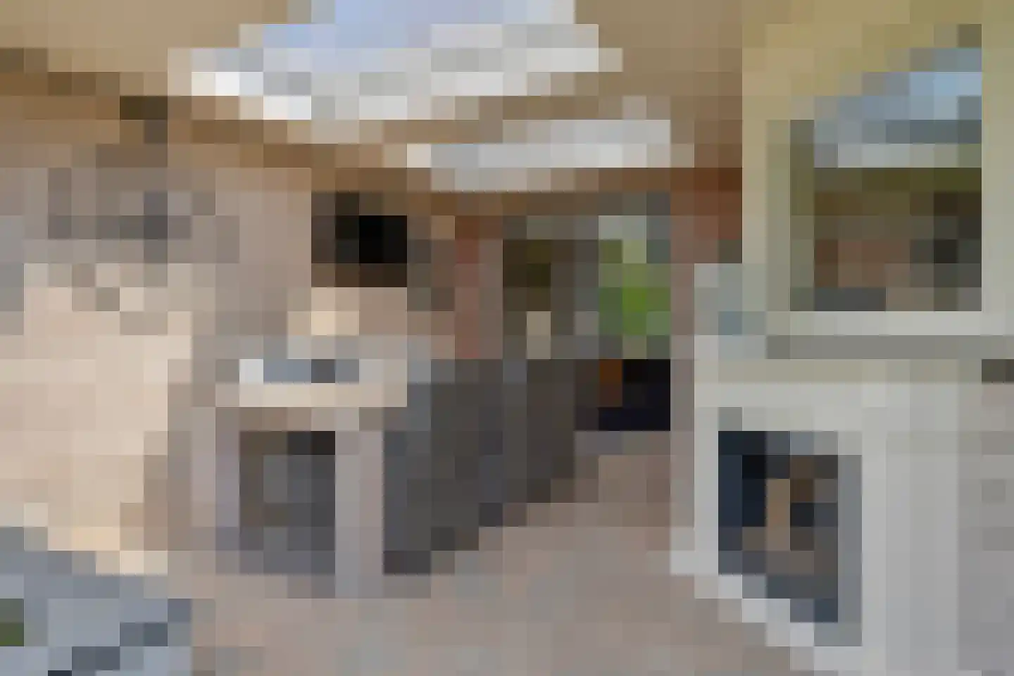 de Schop 21 Lieshout thumbnail 5