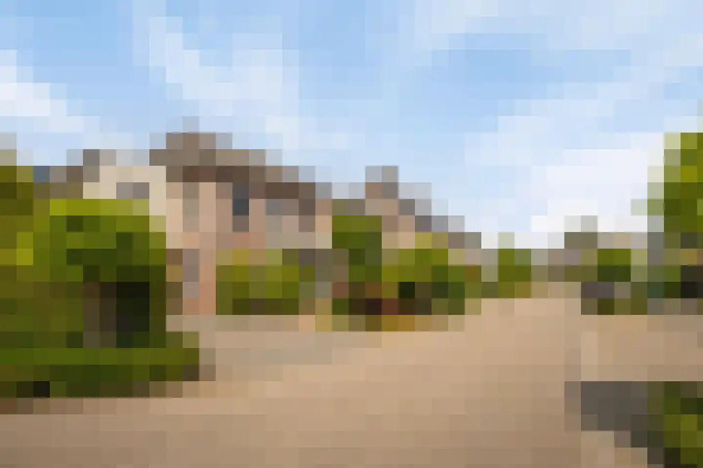 de Schop 21 Lieshout thumbnail 8