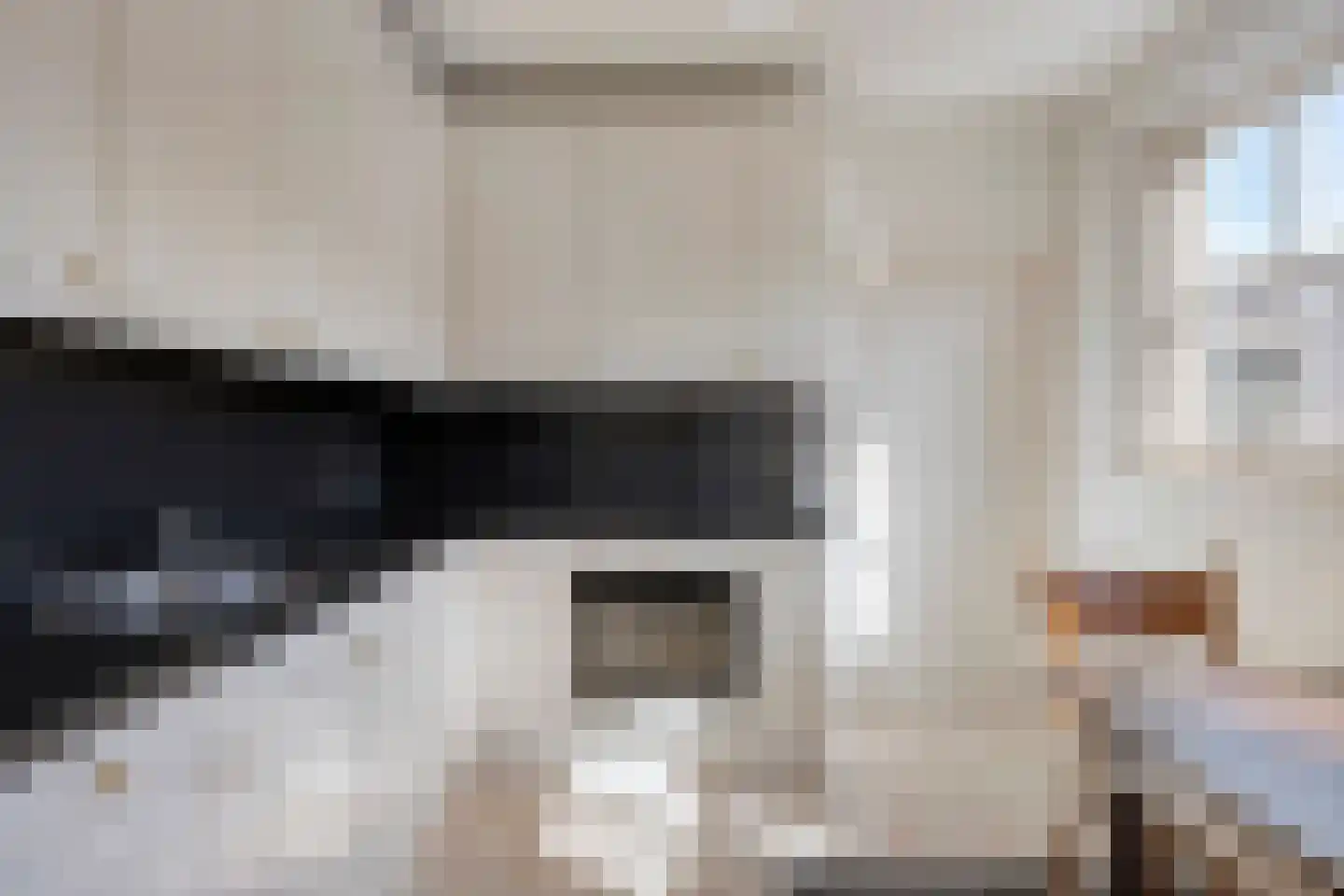 de Schop 30 Lieshout thumbnail 21