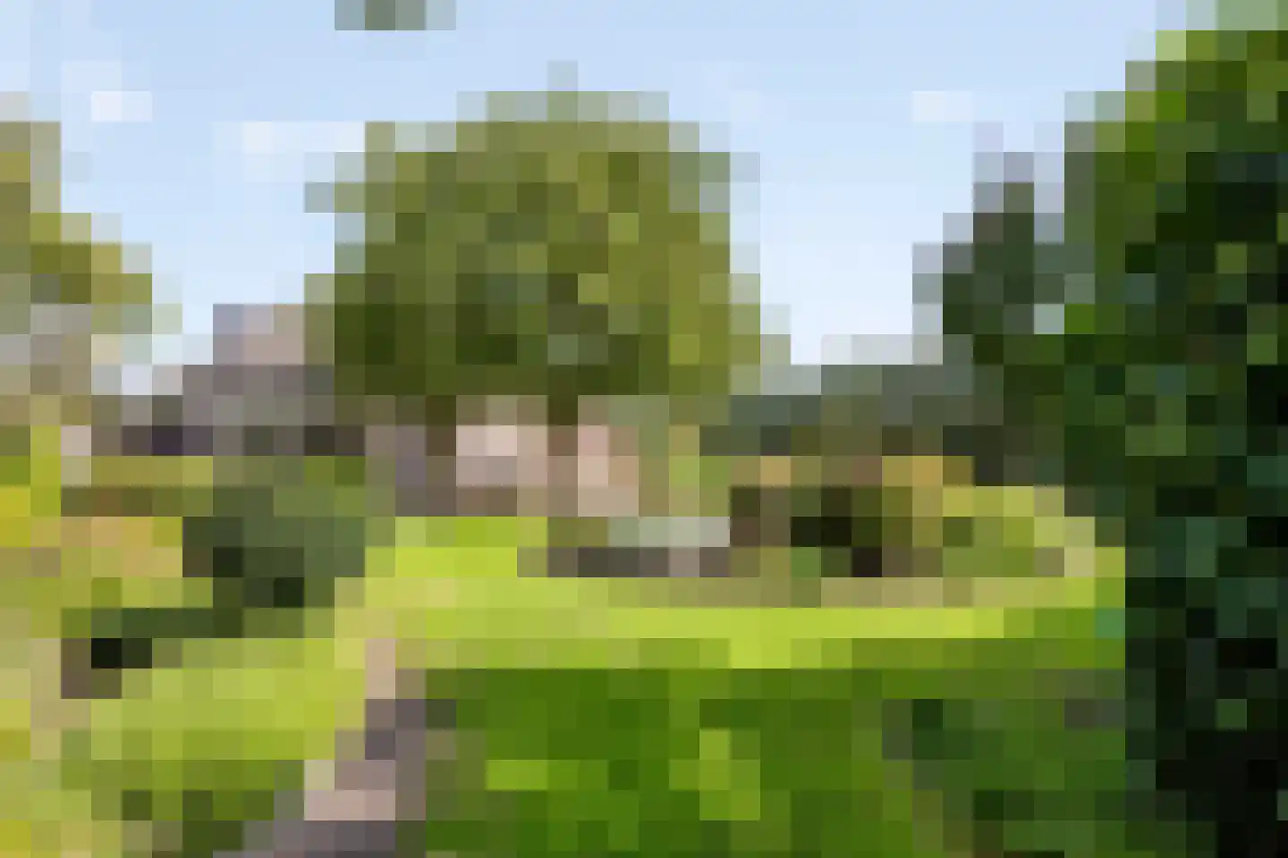 de Schop 30 Lieshout foto 3