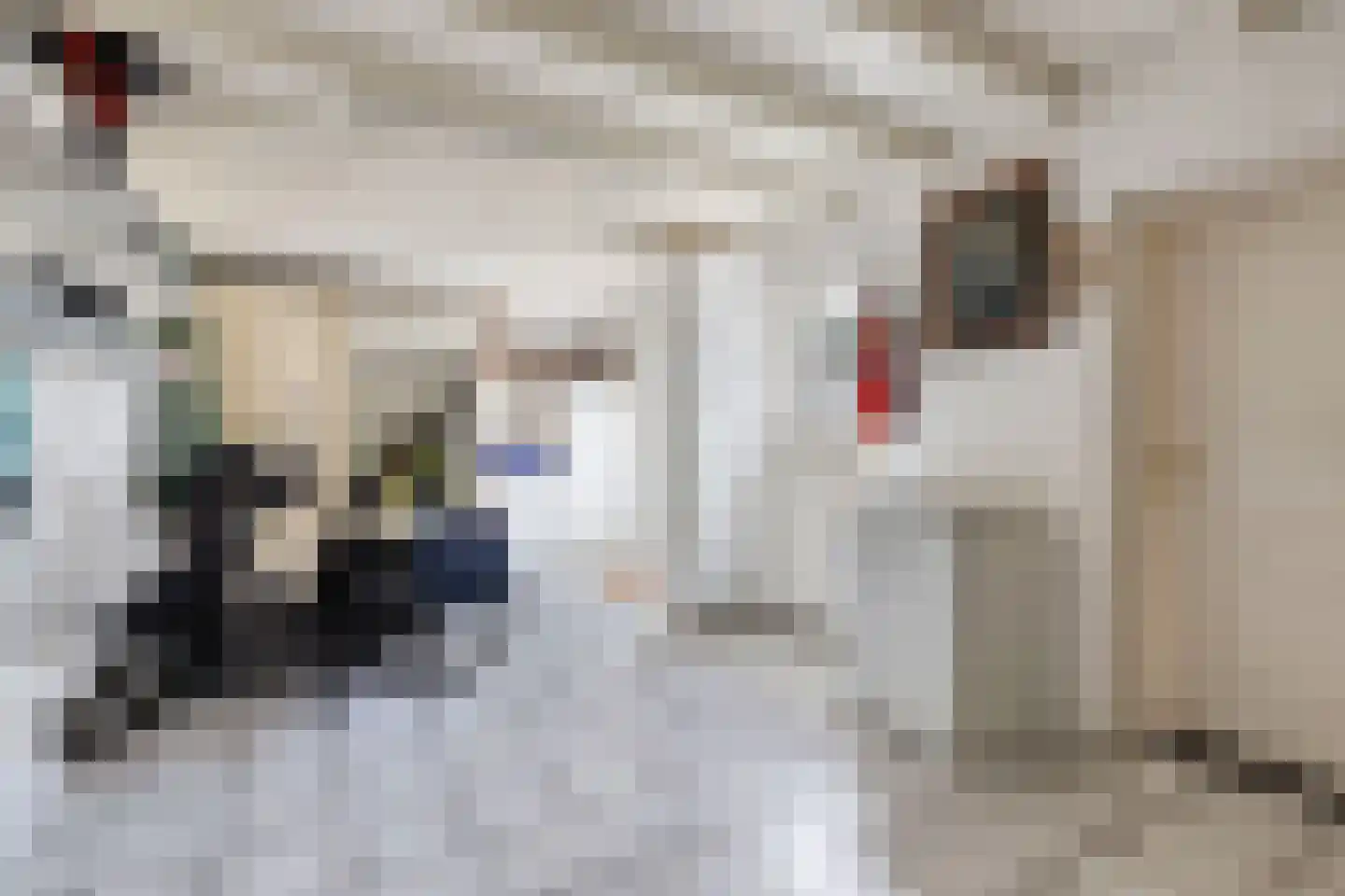 de Schop 30 Lieshout thumbnail 33