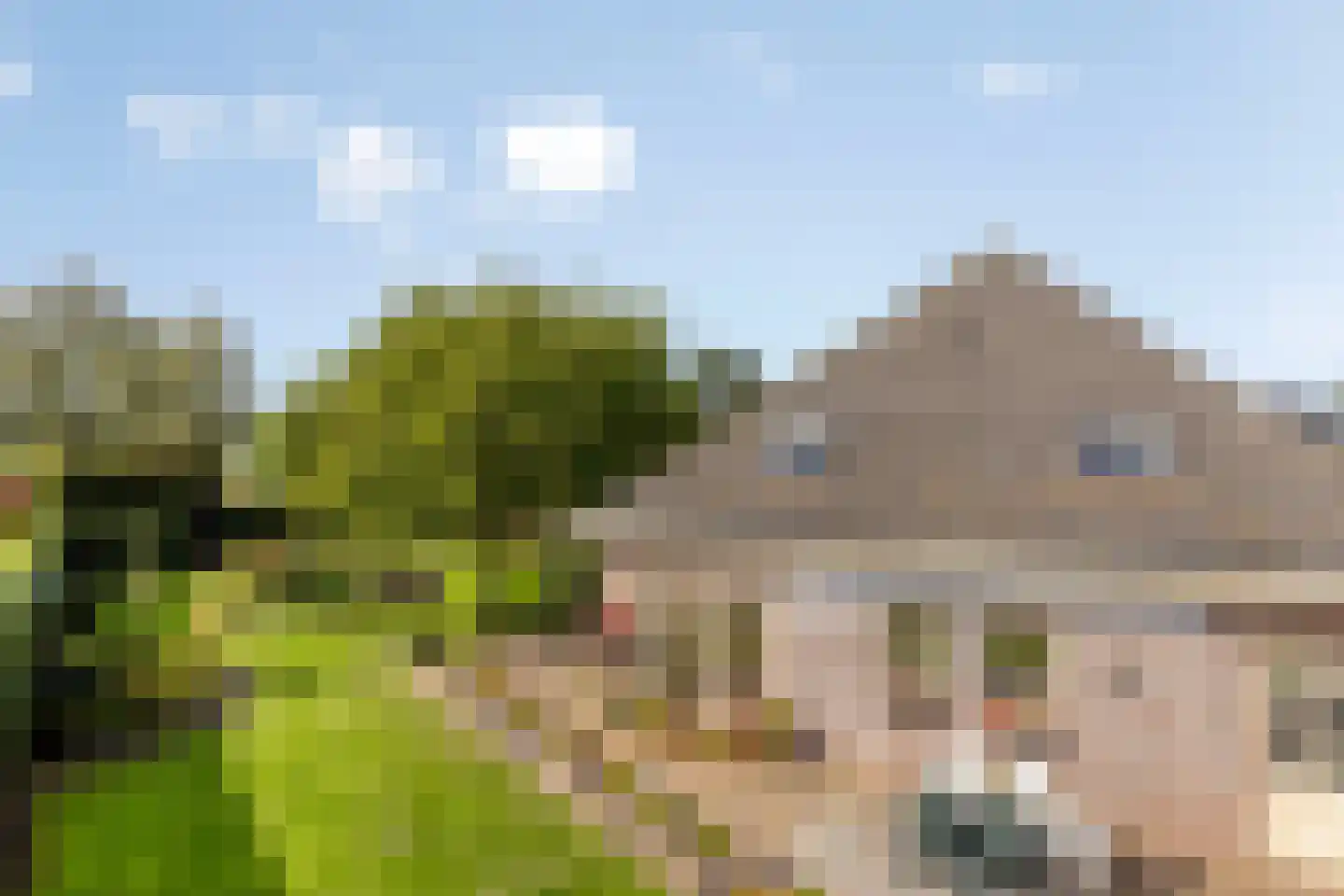 de Schop 30 Lieshout thumbnail 47