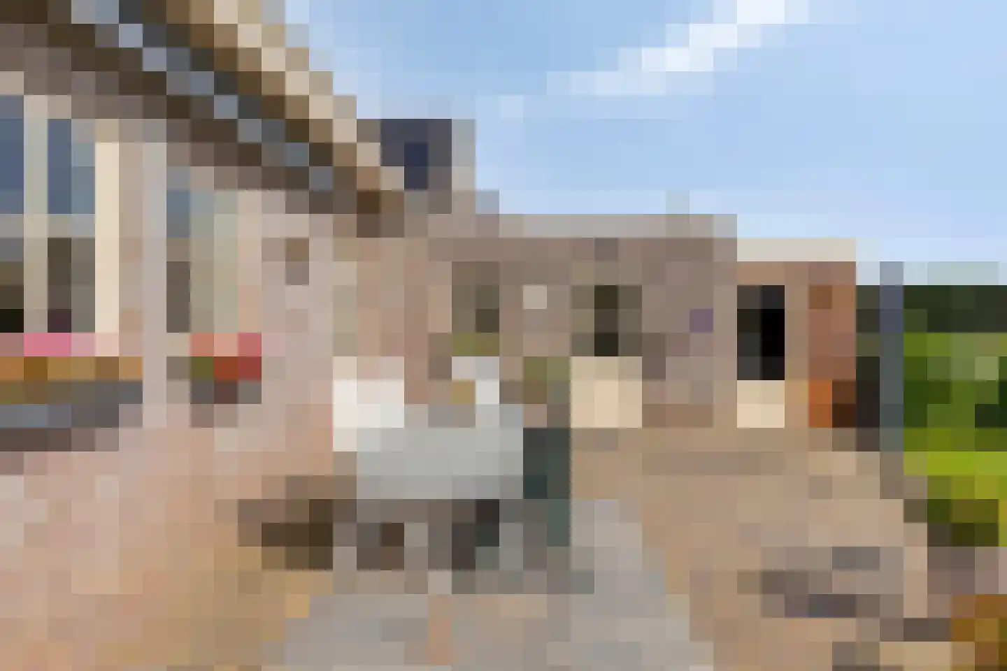 de Schop 30 Lieshout thumbnail 50