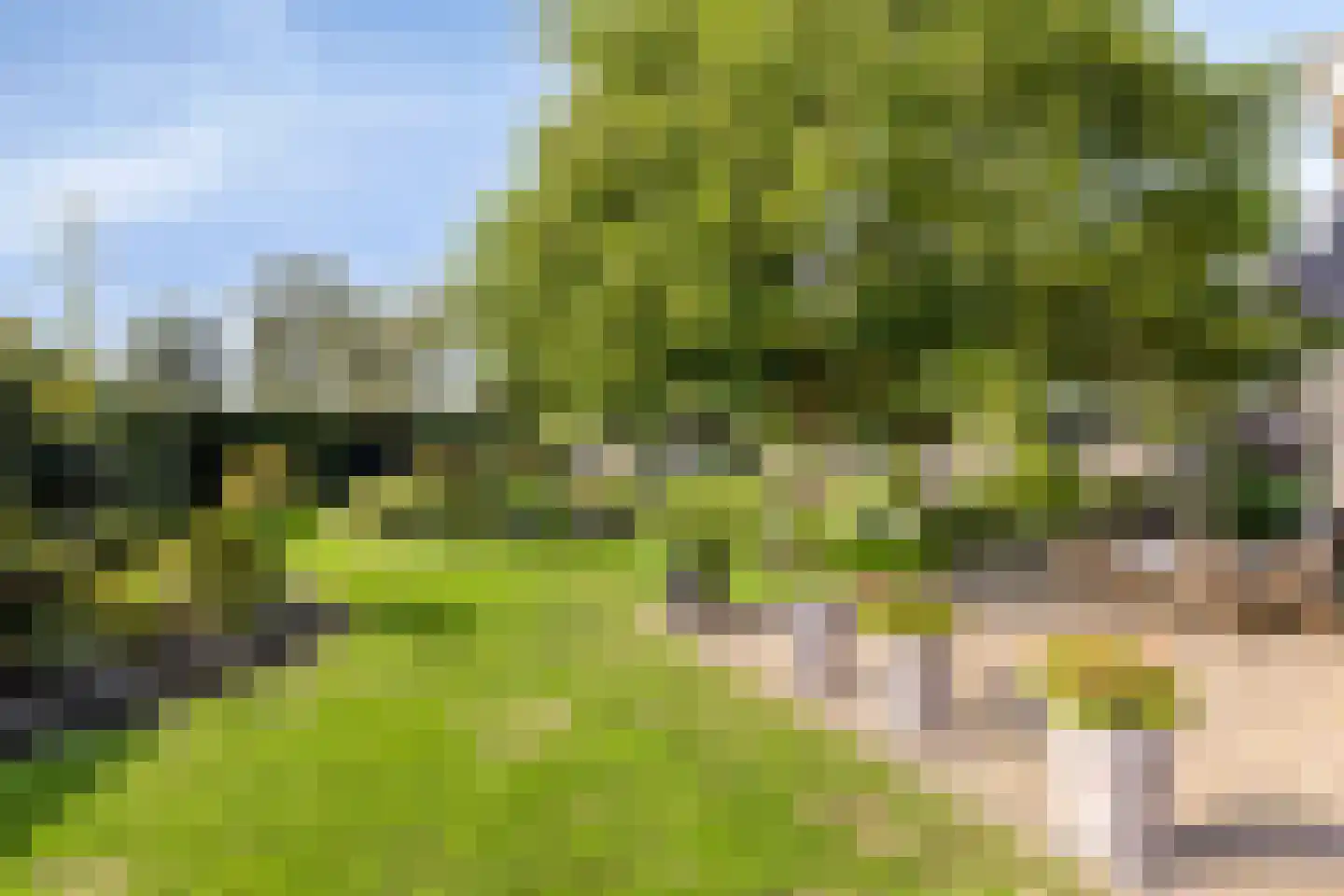 de Schop 30 Lieshout thumbnail 51