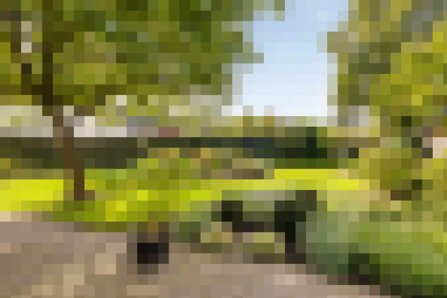 de Schop 30 Lieshout thumbnail 53