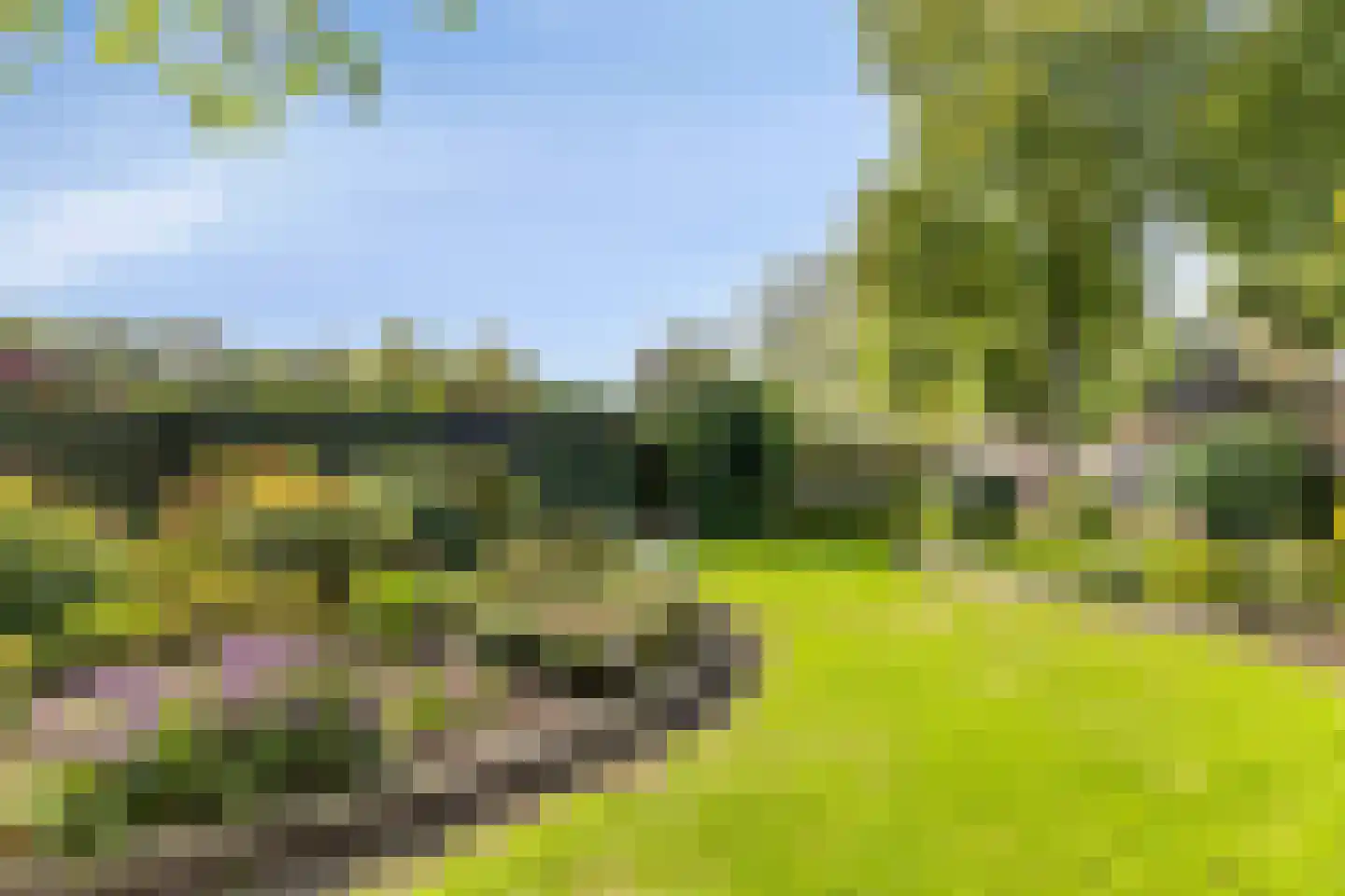 de Schop 30 Lieshout thumbnail 54