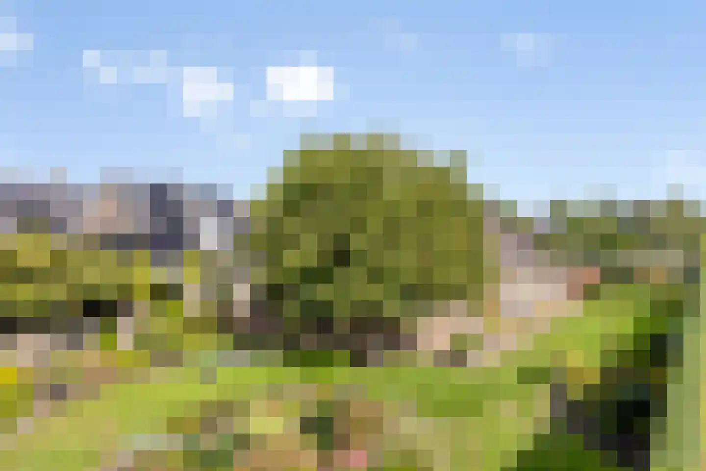 de Schop 30 Lieshout thumbnail 56