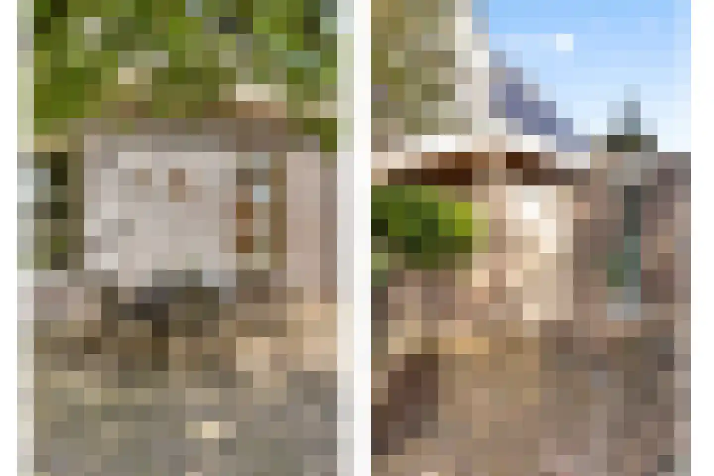 de Schop 30 Lieshout thumbnail 58