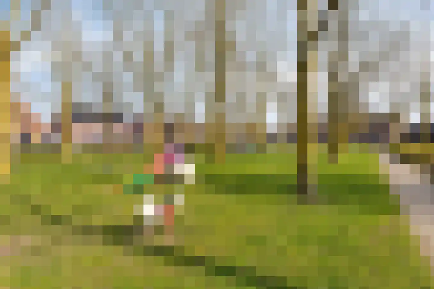 de Schop 42 Lieshout thumbnail 10