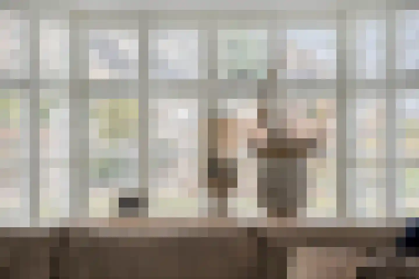 de Schop 42 Lieshout thumbnail 14