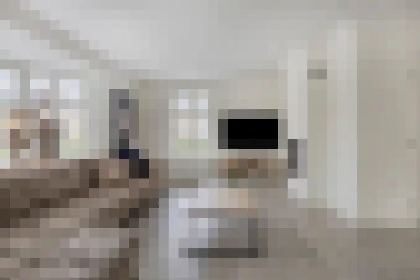 de Schop 42 Lieshout thumbnail 17