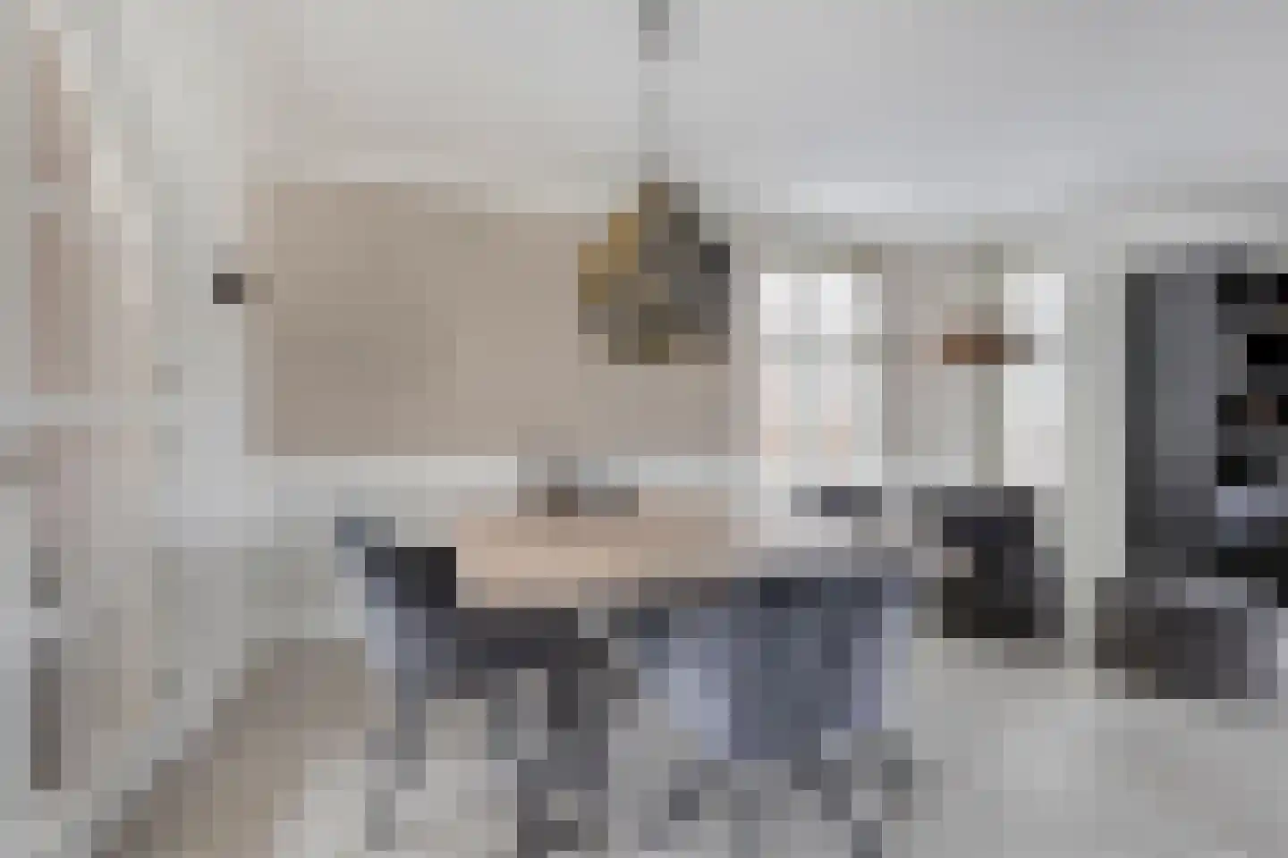 de Schop 42 Lieshout thumbnail 20