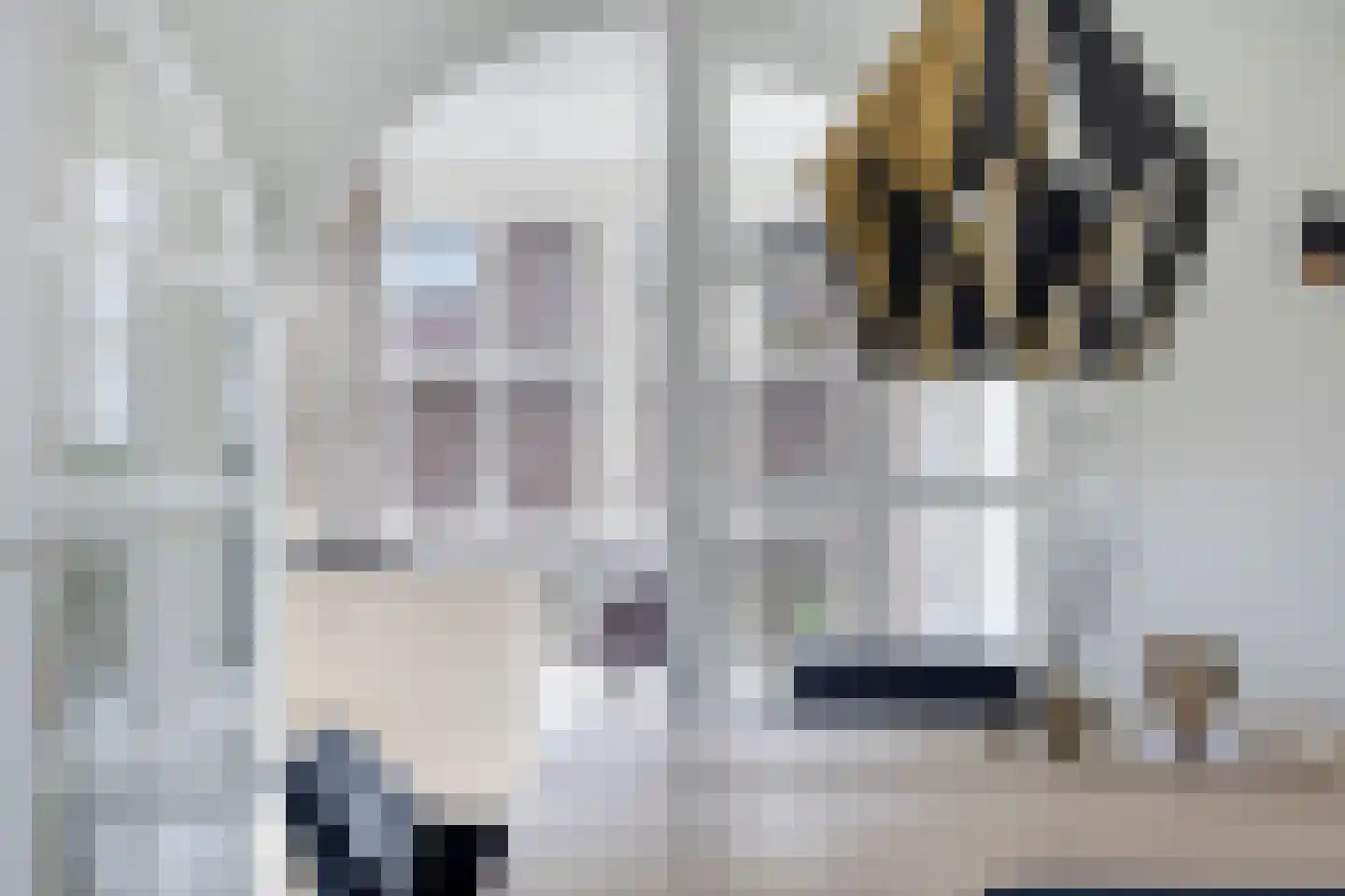 de Schop 42 Lieshout thumbnail 22