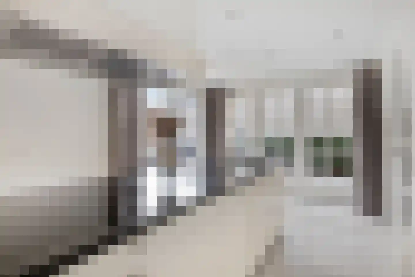 de Schop 42 Lieshout thumbnail 25