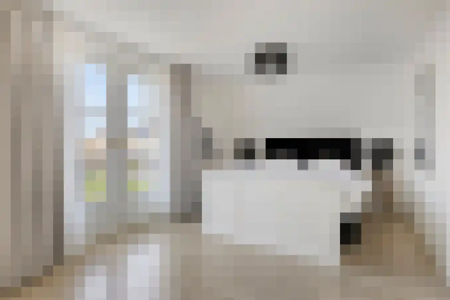 de Schop 42 Lieshout thumbnail 35