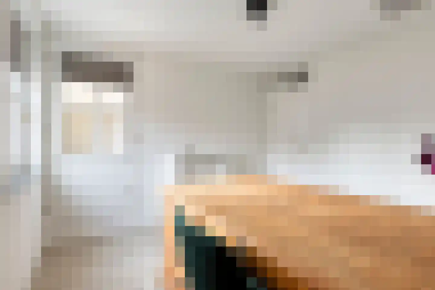 de Schop 42 Lieshout thumbnail 45