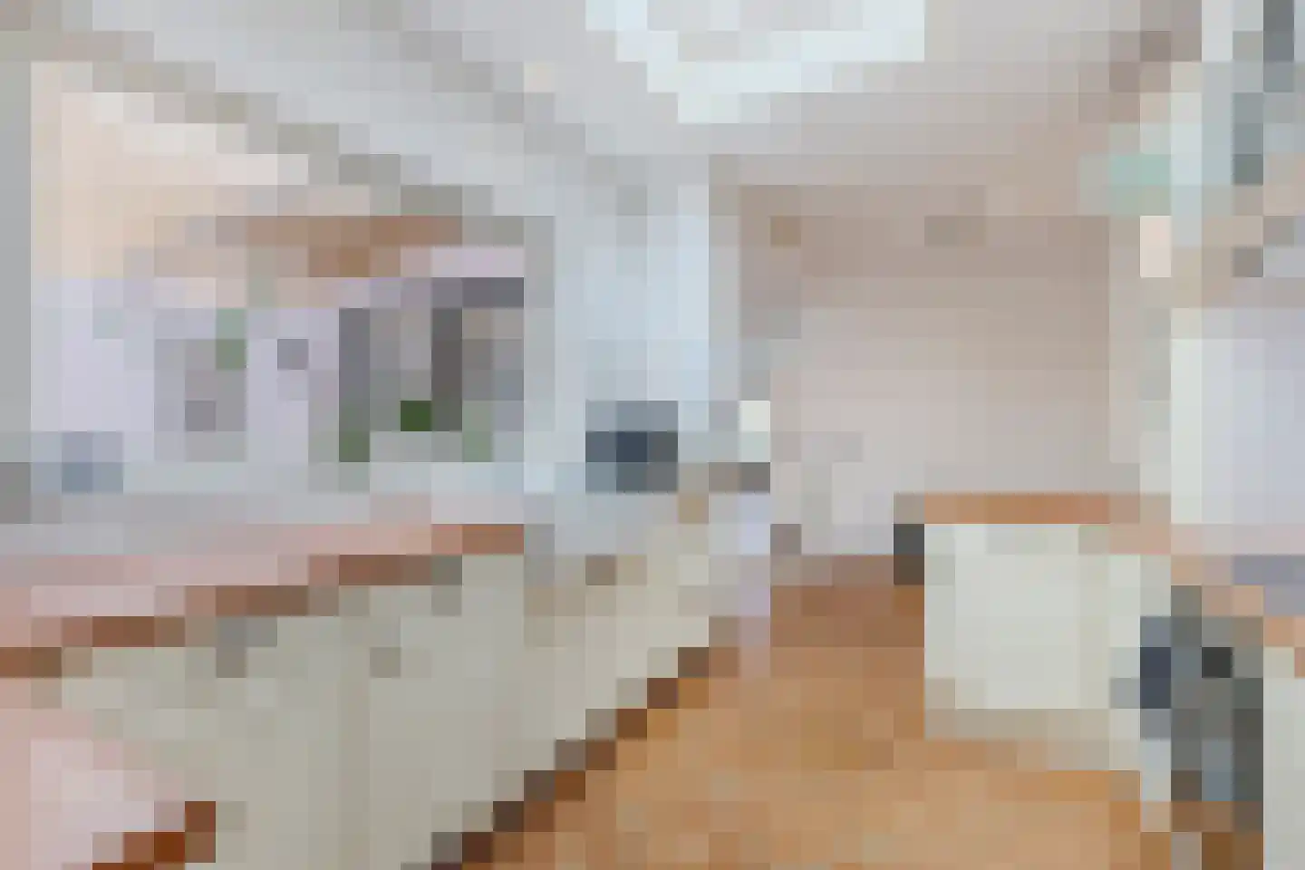 De Schoren 11 Heiloo thumbnail 10
